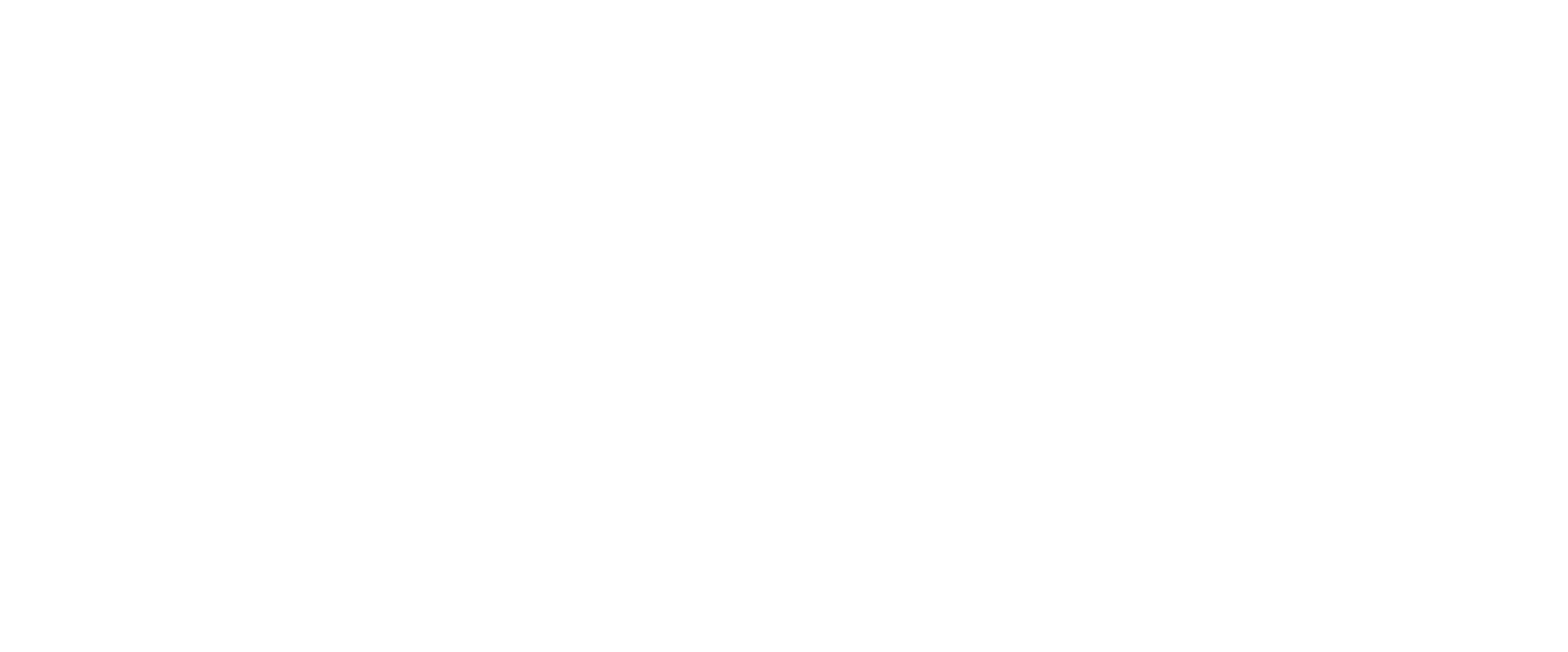 Race Shim